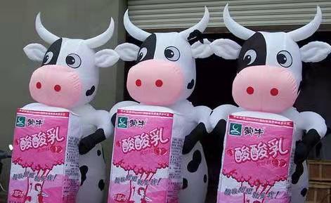 张北牛奶厂广告气模
